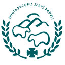 CURSO PARA DOCENTES EN EMERGENCIAS SANITARIAS Y SU INTEGRACIÓN CURRICULAR EN LA ASIGNATURA DE EDUCACIÓN FÍSICA EN LA LOMLOE (3ª Edición)